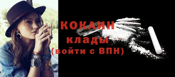 прущие грибы Горняк